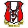 Buckley Town logo