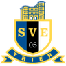 Eintracht Trier logo