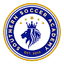 Southern Soccer Academy Women logo