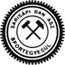 Sarisapi Banyasz SE logo