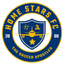 Home Stars logo