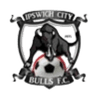 Ipswich City logo