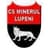 Minerul Lupeni logo