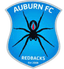 Auburn FC logo