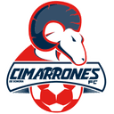 Cimarrones de Sonora logo - Fc VS Cimarrones De Sonora Live Score