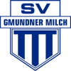 Gmunden logo - Gmunden VS Bradford City Live Score