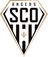 Angers SCO U19 logo