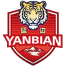 Yanbian Team logo