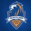 Scottland FC logo - Zim Premier League 32697 Football Score