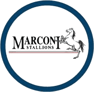 Marconi Stallions logo