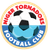 Niger Tornadoes FC logo
