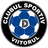 CS Viitorul Daesti logo