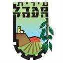 Hapoel Migdal HaEmek logo - Haemek VS Hapoel Bnei Zalfa Result Today
