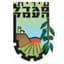 Hapoel Migdal HaEmek logo