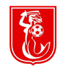 Croydon Kings logo