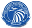Cruzeiro DF Youth logo
