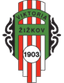 Viktoria Zizkov U19 logo