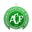 Chapecoense Women logo