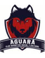 CDSC Aguara logo