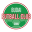 Budai FC U19 logo