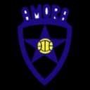 Amora Women logo - Women VS Fc Tirsense Women Result Today