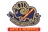 Sapporo University logo