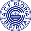 A.C.F. Gloria Bistrita logo