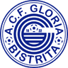 A.C.F. Gloria Bistrita logo