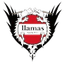 Llamas Kochi FC logo