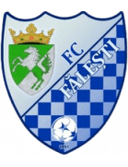 Flacara Falesti logo - Falesti VS Victoria Bardar Live Score