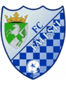 Flacara Falesti logo