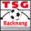TSG Backnang logo
