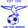 Blue Waters FC logo - Sporting VS Blue Waters Fc Live Score