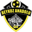 Beykoz Anadoluspor U19 logo