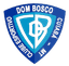 Dom Bosco MT Youth logo