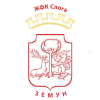 ZFK Sloga Women logo - W VS Zfk Sloga Women Score