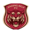 Jiading Combat Sports U17 logo
