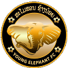 Young Elephants logo