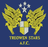Treowen Stars logo - Wal Cymru Championship 33346 Football Live Score