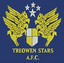 Treowen Stars logo