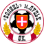 Volyn U19 logo