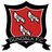 Dundalk U19 logo