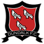 Dundalk U19 logo