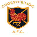 Croesceiliog logo - Ely VS Croesceiliog Live Score