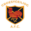Croesceiliog logo
