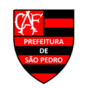 Flamengo Sao Pedro U20 (W) logo - W VS Gremio U Women Live Score