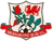Aberbargoed Buds logo
