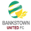 Bankstown United FC logo