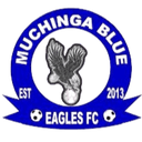 Muchinga Blue Eagles logo - Stars VS Muchinga Blue Eagles Score