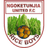 Ngoketunjia United FA logo